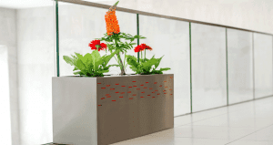 office plants and containers simply plants
