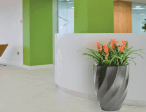 Simply Plants For Stunning affordable office plants & Plant display