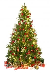 Authentic-Christmas-tree-hire