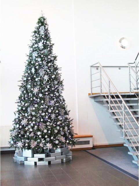 Christmas-tree-hire-