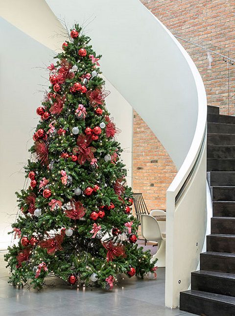 Commercial Christmas-tree-hire