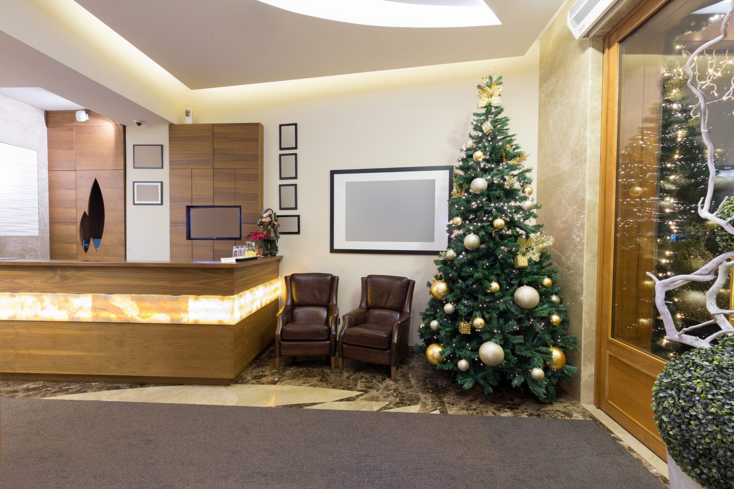 Christmas-tree-hire-Oxford