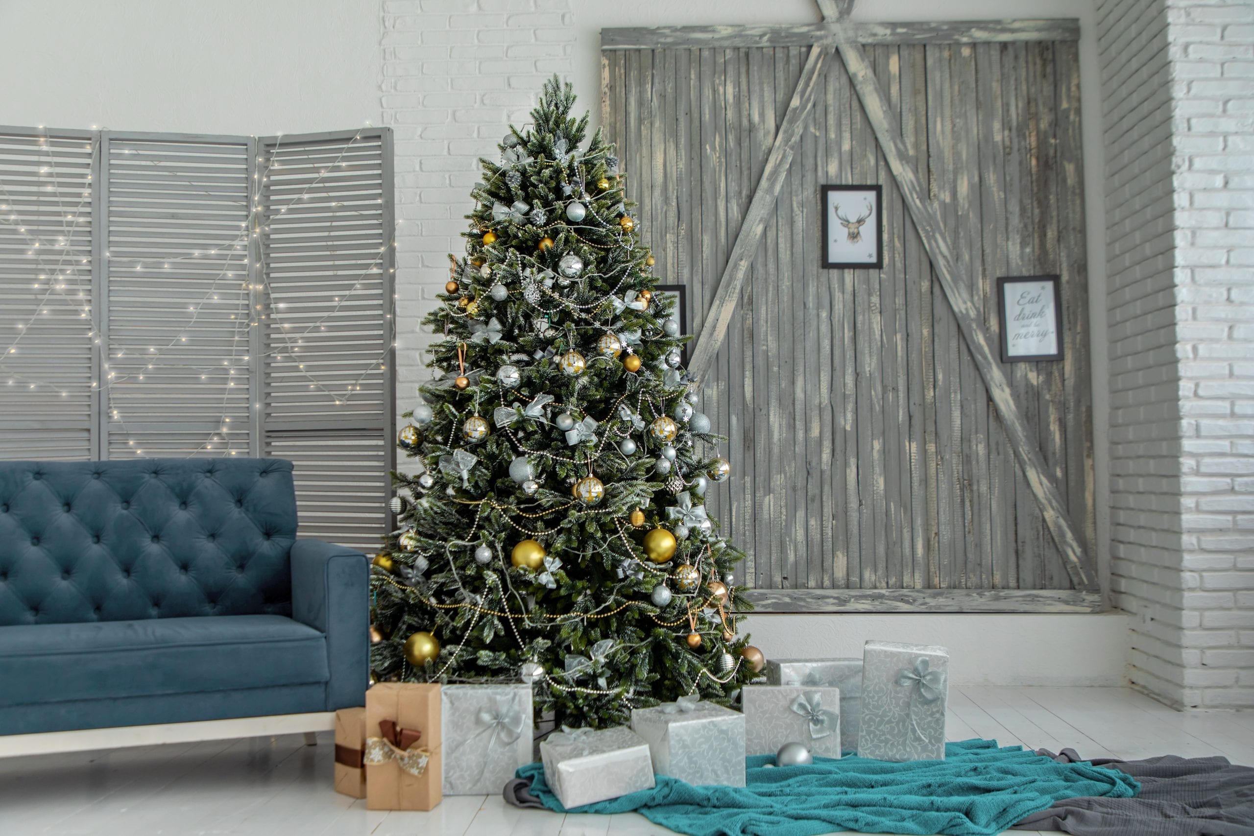 Rent-a-Christmas-tree