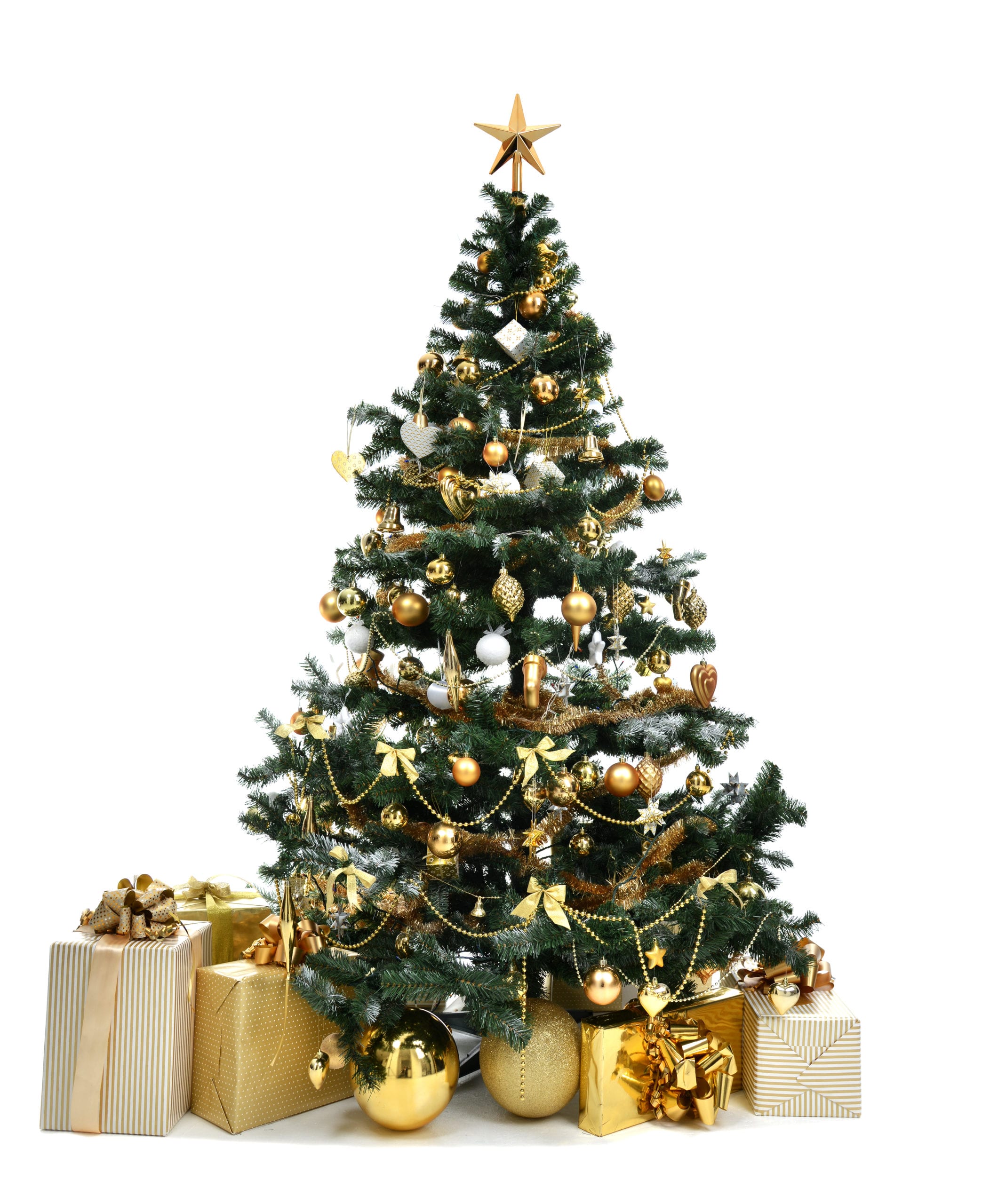 Fresh-cut-Christmas-tree-hire