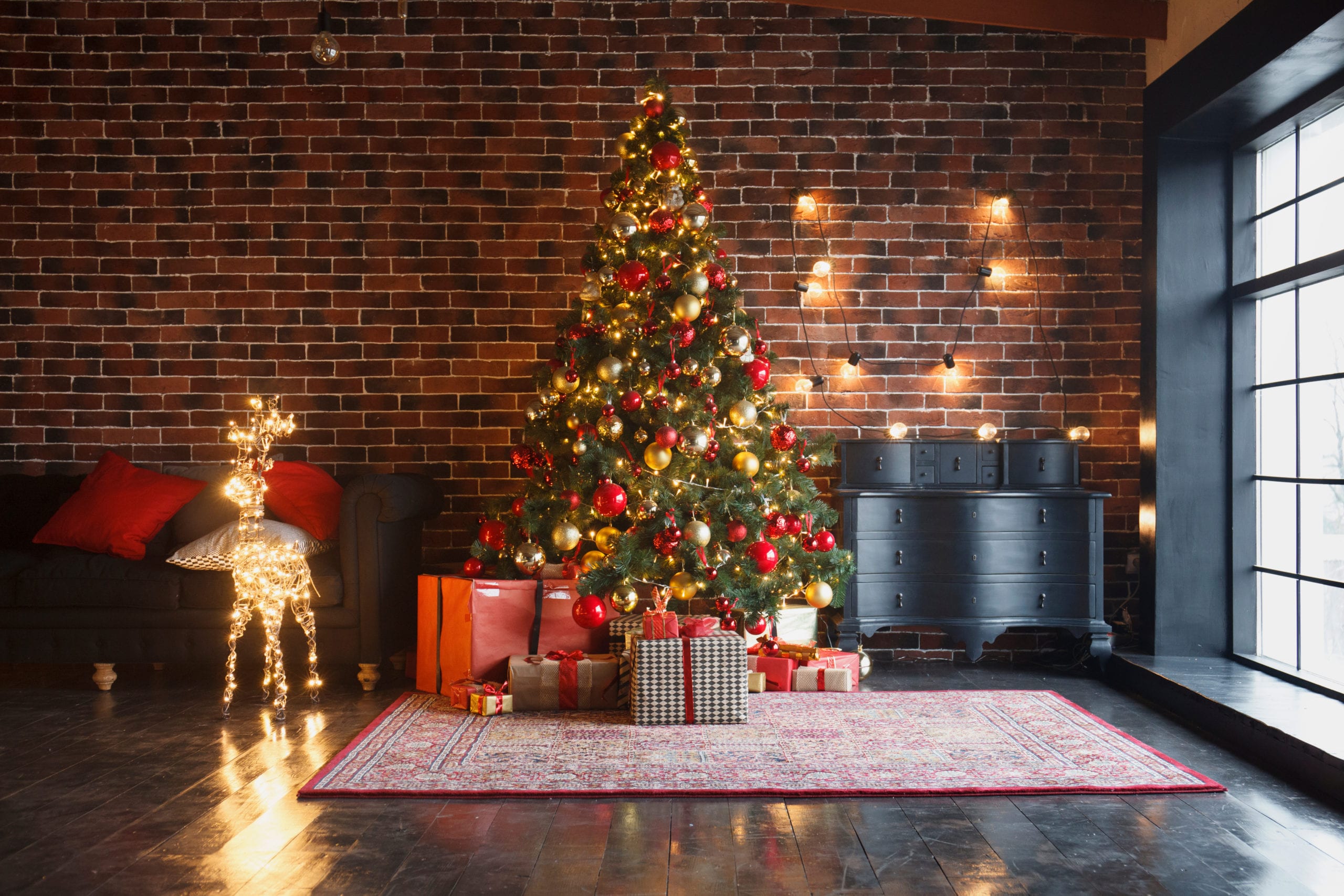 rent-christmas-trees