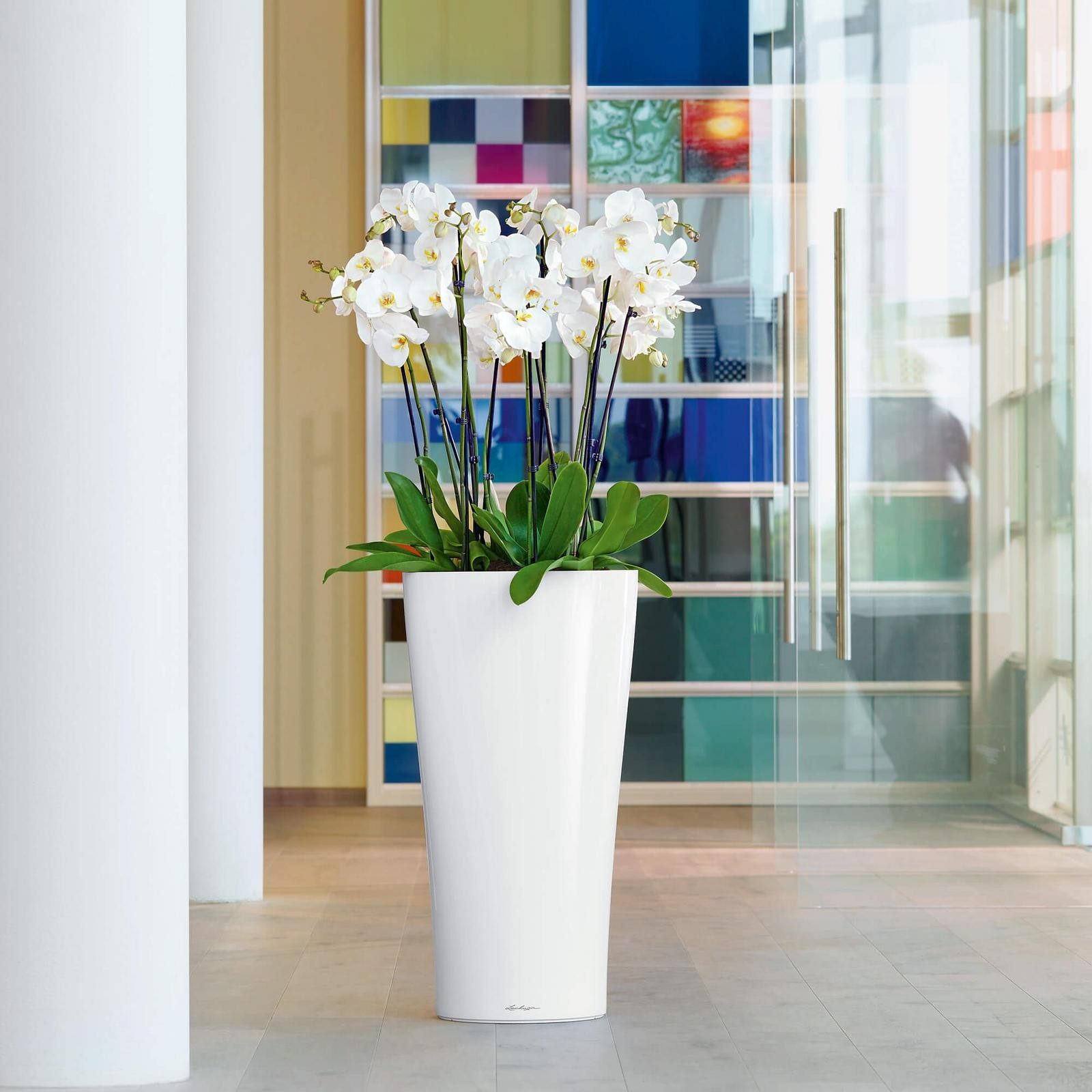 Office Plant Hire