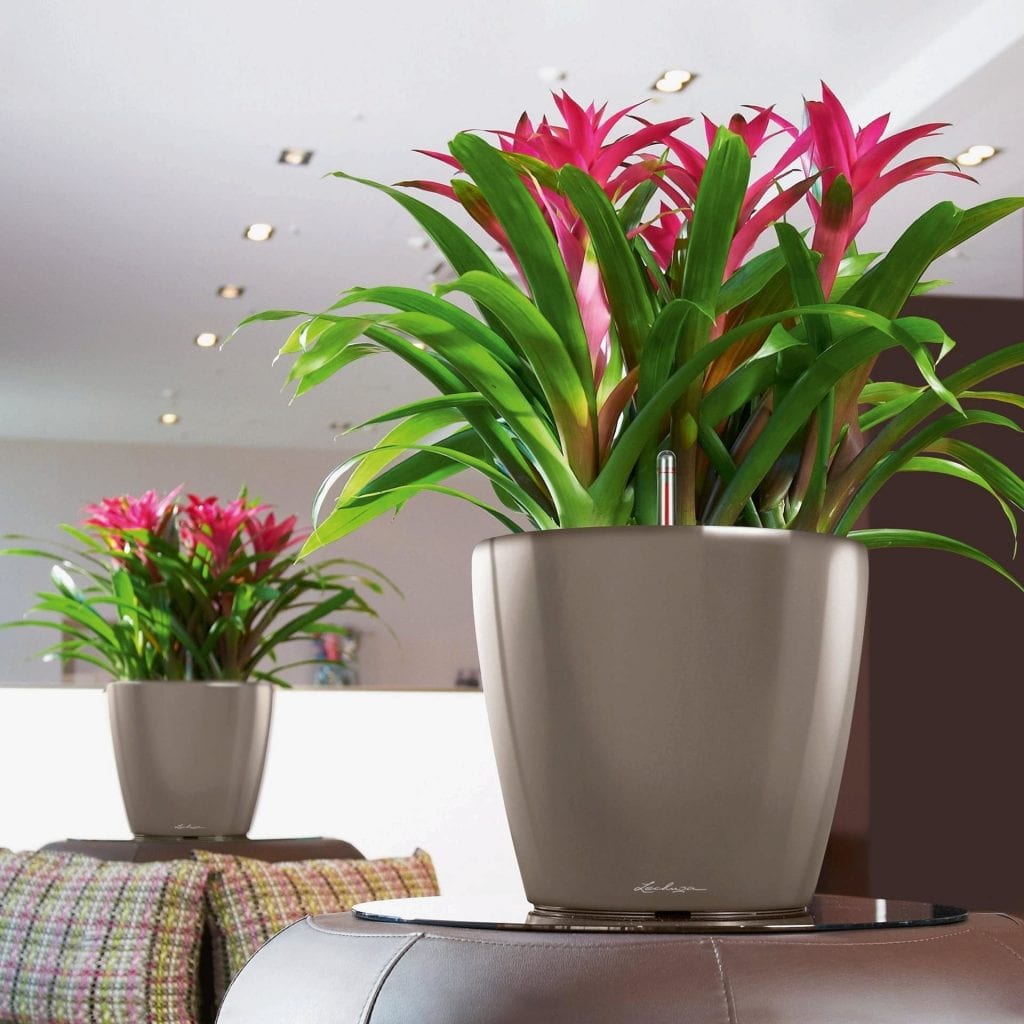 best office plants hire service