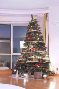 Christmas-tree-hire-london