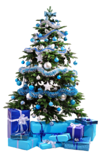 Christmas-tree-hire-cambridge