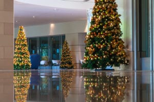 Commercial Christmas trees hire service