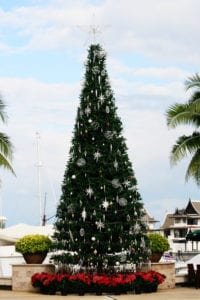 Giant Christmas tree