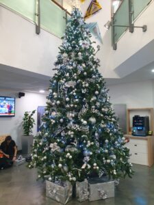 Christmas Tree Hire