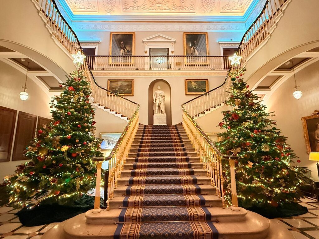 Christmas tree rental