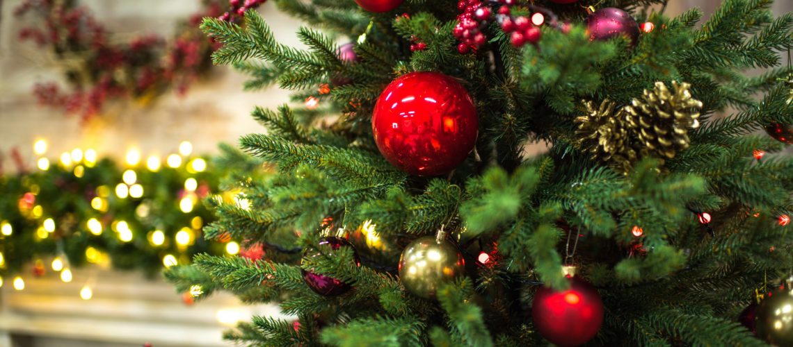 Finding-the-perfect-office-Christmas-tree