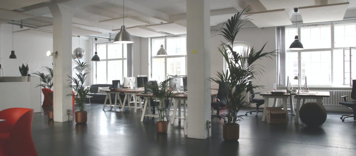 how to decorate your office with plants